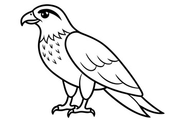 hawk line art silhouette vector illustration