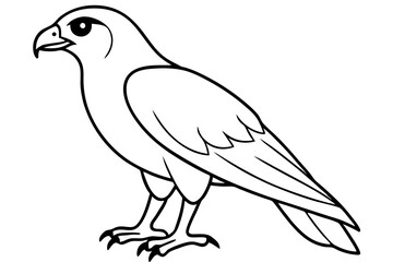 hawk line art silhouette vector illustration