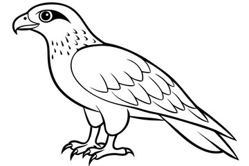 hawk line art silhouette vector illustration