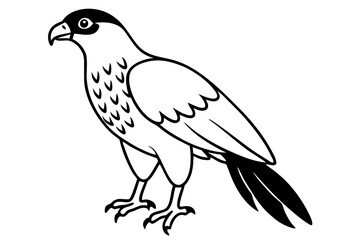 hawk line art silhouette vector illustration