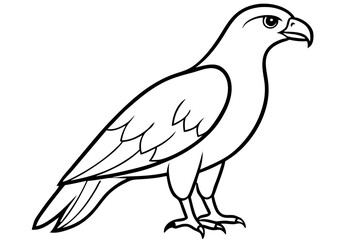 hawk line art silhouette vector illustration