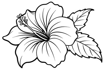 hibiscus line art silhouette vector illustration