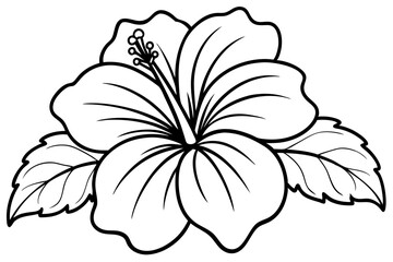 hibiscus line art silhouette vector illustration