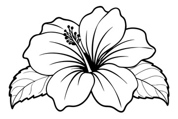hibiscus line art silhouette vector illustration