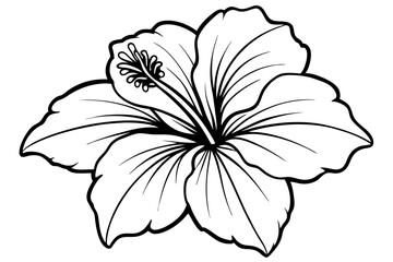 hibiscus line art silhouette vector illustration