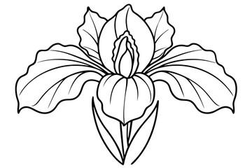 iris line art silhouette vector illustration