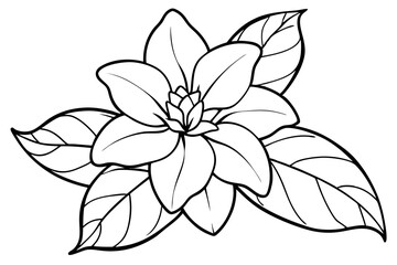jasmine flower line art silhouette vector illustration