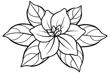jasmine flower line art silhouette vector illustration
