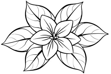 Fototapeta premium jasmine flower line art silhouette vector illustration