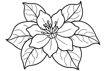 Fototapeta premium jasmine flower line art silhouette vector illustration