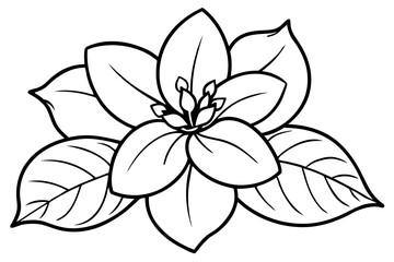 jasmine flower line art silhouette vector illustration