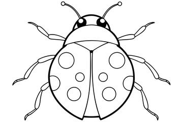 ladybird insect line art silhouette vector illustration