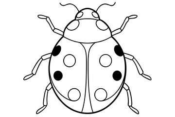 Obraz premium ladybird insect line art silhouette vector illustration