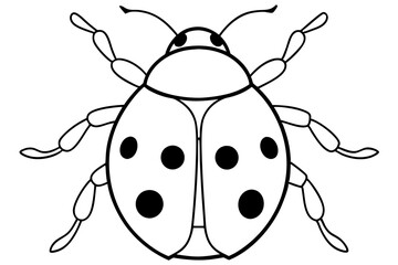 ladybird insect line art silhouette vector illustration