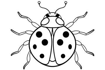 ladybird insect line art silhouette vector illustration