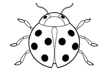 ladybird insect line art silhouette vector illustration