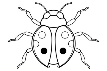 ladybird insect line art silhouette vector illustration