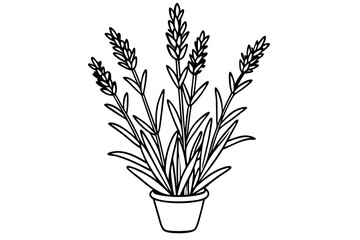 lavender line art silhouette vector illustration