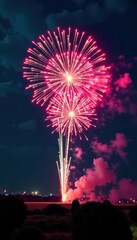 Vibrant fireworks explode, illuminating night sky, spectacular, impressive, event