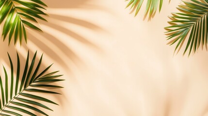 Tropical Palm Shadows On A Sun-Warmed Beige Canvas