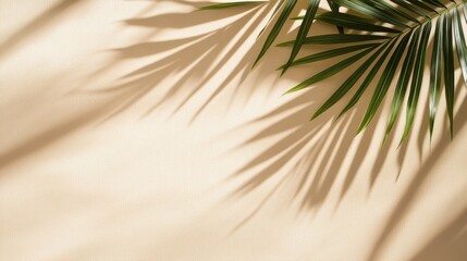 Obraz premium Palm Leaves Casting Shadows On Beige Background Wall.