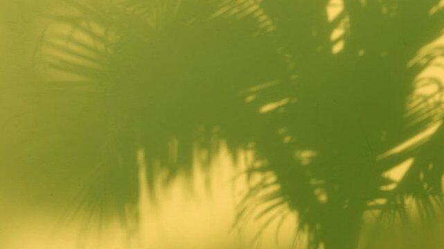 Silhouette Green coconut Palm tree branch n leaf shadow overlay on yellow concret industrial wall texture in tropical summer sun light o sunlight n daylight sunshine day, 4k abstract nature background
