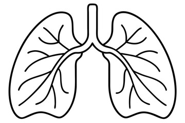 lungs line art silhouette vector illustration