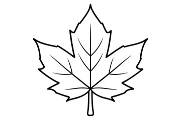 maple leaf line art silhouette vector illustration