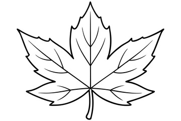 maple leaf line art silhouette vector illustration