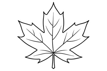 Obraz premium maple leaf line art silhouette vector illustration