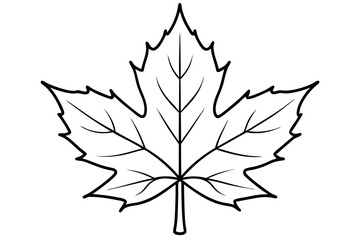 maple leaf line art silhouette vector illustration