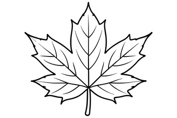 maple leaf line art silhouette vector illustration