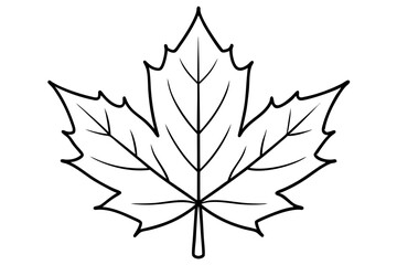 maple leaf line art silhouette vector illustration