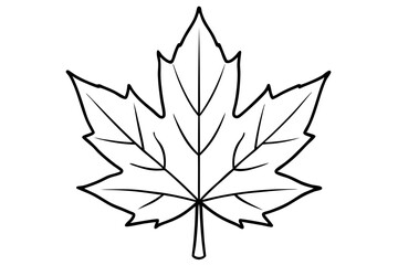 maple leaf line art silhouette vector illustration