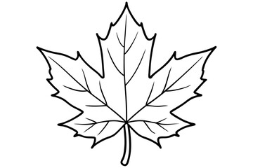 maple leaf line art silhouette vector illustration
