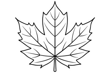 maple leaf line art silhouette vector illustration