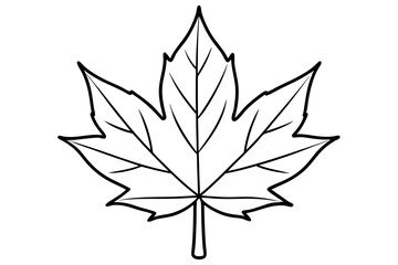 maple leaf line art silhouette vector illustration