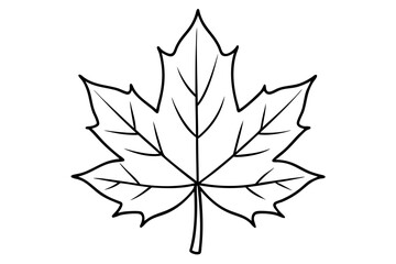 Obraz premium maple leaf line art silhouette vector illustration