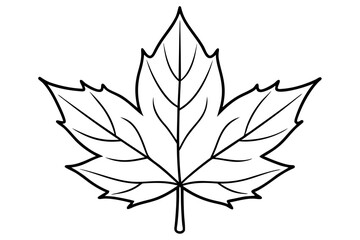 maple leaf line art silhouette vector illustration