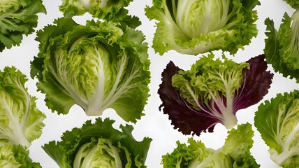 Fresh Halved Lettuce Variety