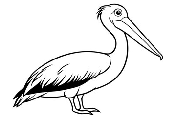 pelican line art silhouette vector illustration