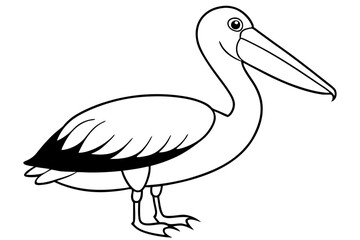 pelican line art silhouette vector illustration