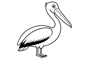pelican line art silhouette vector illustration