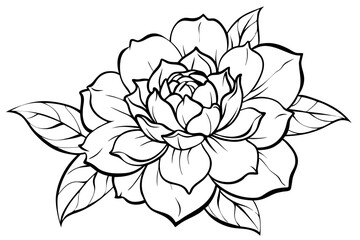 peony line art silhouette vector illustration