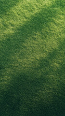 A lush green grass texture, reminiscent of a freshly mowed football field, with rich natural tones.

