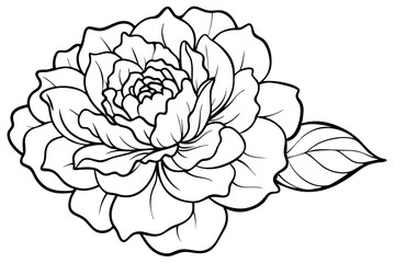 peony line art silhouette vector illustration