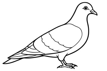 pigeon line art silhouette vector illustration