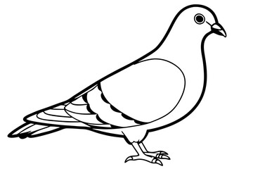 pigeon line art silhouette vector illustration