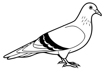 pigeon line art silhouette vector illustration