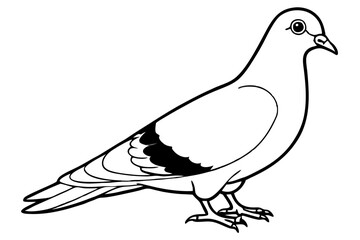 pigeon line art silhouette vector illustration